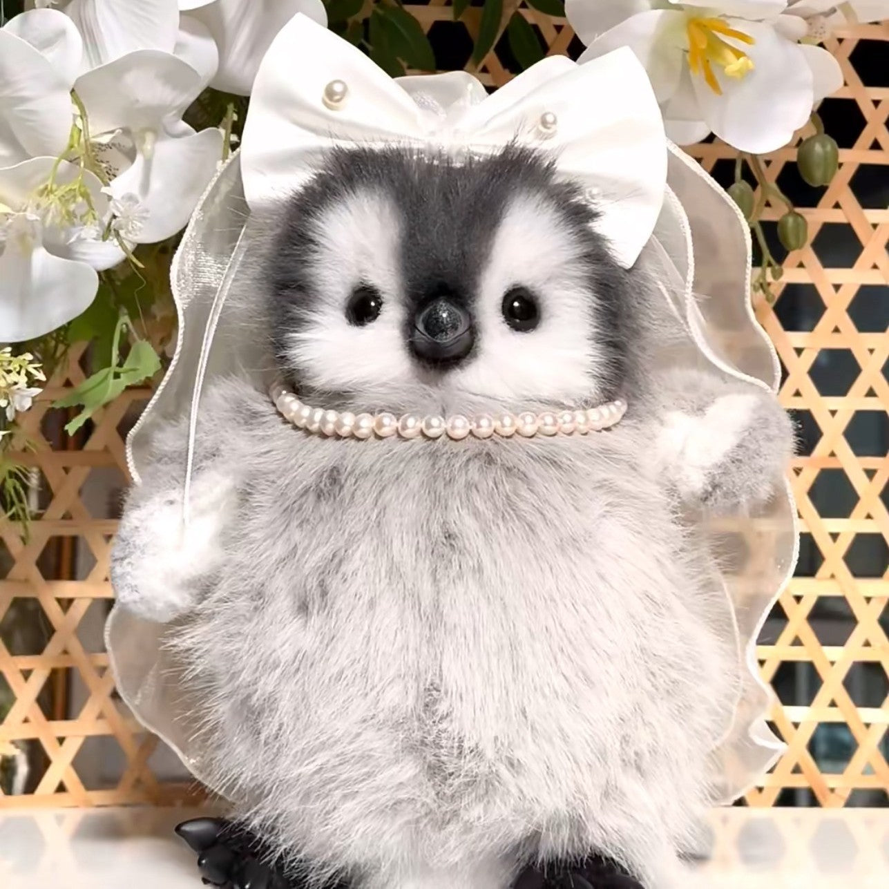 🟣💍Eternity Collection: Polaris Love